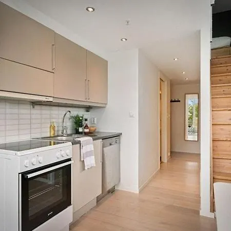 公寓 Penthouse In Center *