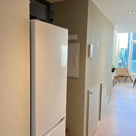 Penthouse In Center