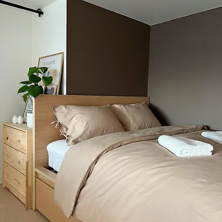 Penthouse In Center 公寓 *