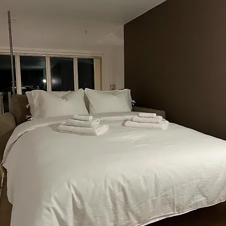 公寓 Penthouse In Center 斯塔万格
