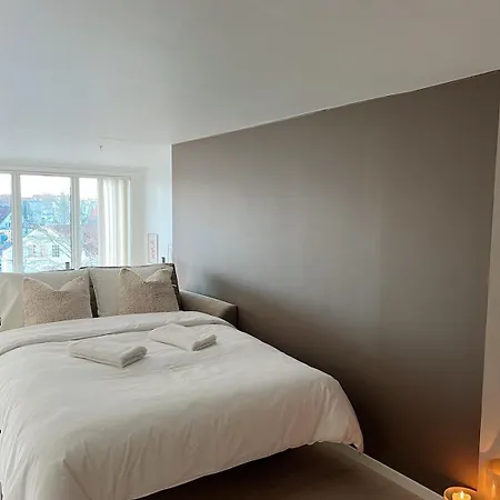 Penthouse In Center アパート